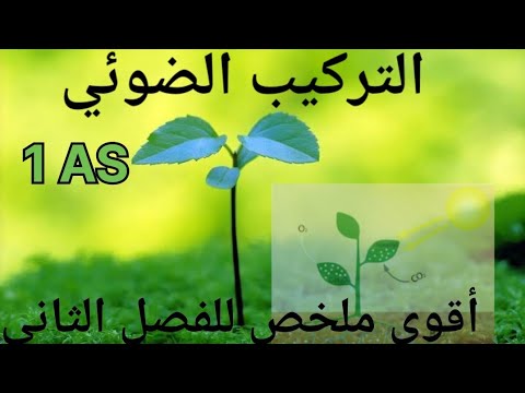 ملخص دروس علوم الطبيعية سنة اولى ثانوي الفصل الثاني شرح مبسط 