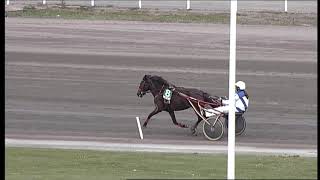 LOPP 4-Ponny-2021-08-21