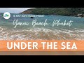 Snorkeling at Yanui Beach, Black Fish, Coral, Little Crab | Phuket Thailand | หาดยะนุ้ย ภูเก็ต