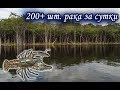 Более 200 раков за сутки. Русская Рыбалка 3.99.