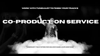 🎶 Co-Production Service: Turn Your Demo into a Release-Ready Track | TuneMart