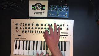 Strymon NightSky & Korg Minilogue (No Talking. Just Playing)
