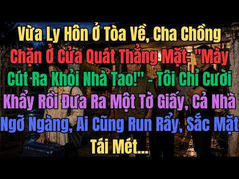 Vừa Ly Hôn Ở Tòa Về, Cha Chồng Chặn Ở Cửa Quát Thẳng Mặt: "Mày Cút Ra Khỏi Nhà Tao!" – Tôi Chỉ Cười