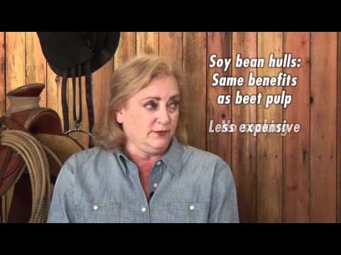 Nutrition Nuggets - Beet Pulp and Soy Bean Hulls in a horses diet