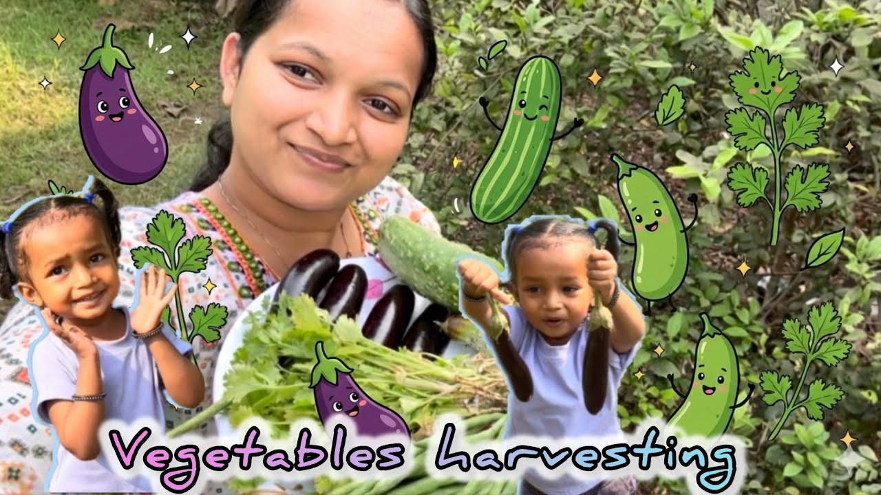 # Vegetable Harvesting in Our Home 🍆🥗🥒