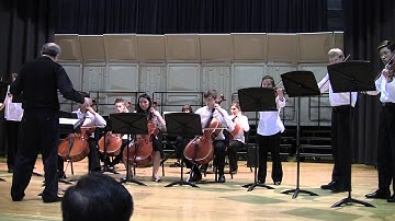 String Extravaganza - String Orchestra