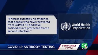 How effective are antibody tests for COVID-19