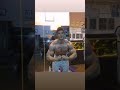 1453harun aslında zyzz mi