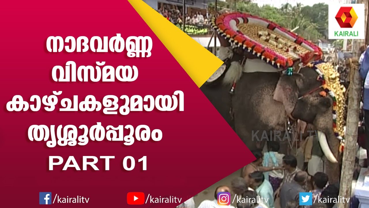 തൃശ്ശൂർപൂരത്തിലെ ആനക്കാഴ്ചകൾ #01| Thrissur Pooram | E for Elephant | Kairali TV