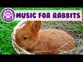 Music for Bunnies - Calming Music to Soothe Your Rabbit!🐰💤