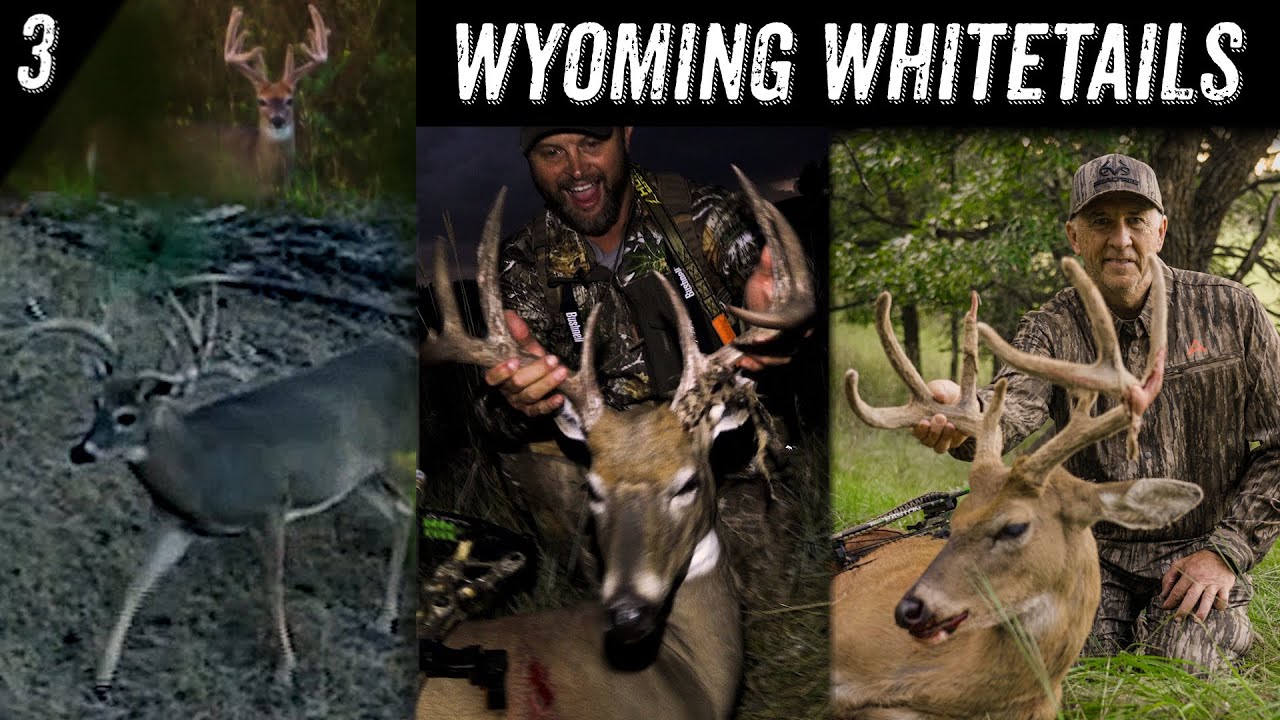 DAVID BLANTON OPENING DAY BOW BUCK!