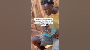 Don’t scroll please donate #cat #catsoftiktok #kitten #kittensoftiktok #rescue #cats#kittens #stray