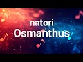 Natori Osmanthus Lyrics