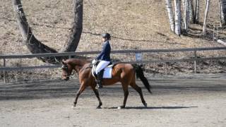 304-16 Gunpowder La3 2013 63,286%
