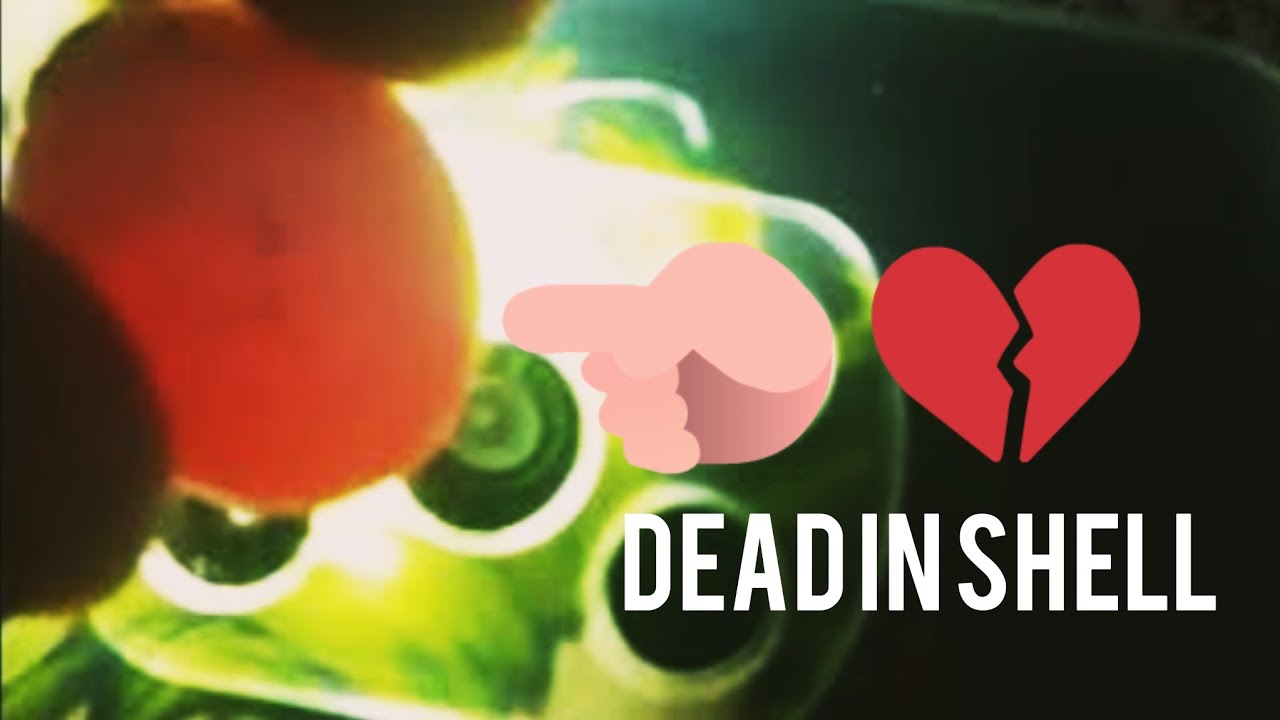 African love birds Dead in shell checking. Read description to avoid dead in shell.