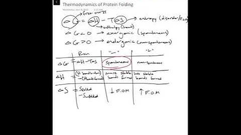 Thermodynamics of Protein Folding: Explaining delta G, H, and S (Part 1)