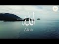 Allahuislamic heart touching nasheed  turkish version