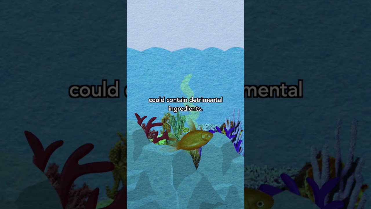 Is Your Sunscreen Harming Ocean Life? | Bloomberg Philanthropies 