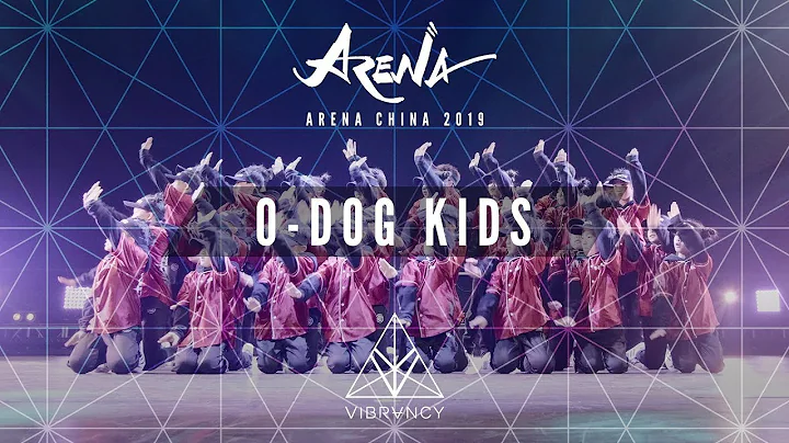 [1st Place] O-DOG Kids | Arena China Kids 2019 [@VIBRVNCY Front Row 4K] - 天天要聞