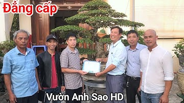 Thăm vườn cây Đẳng cấp của anh Sao ở Thanh hà Hải Dương mời anh mang cây về TL Tân Thuận 