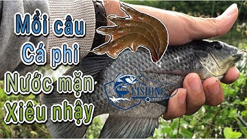 câu cá | cao thủ câu cá phi vuông nước mặn miền tây #Fishing VN