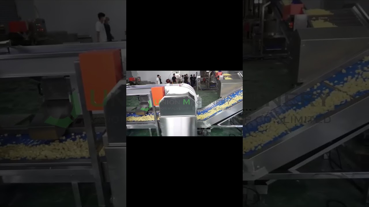 Potato Washing Peeling Slicing Processing Line 