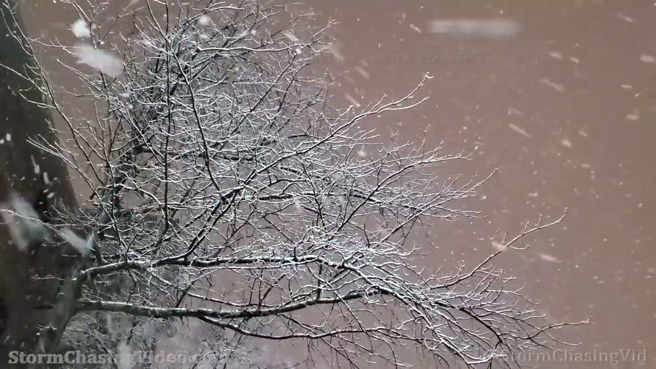Heavy Snow Impacts Twin Cities Suburbs - 4/3/2022