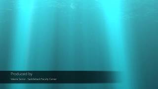 Canvas Quick Tip   Method 1 adding a course syllabus using Syllabus link on Navigation Menu