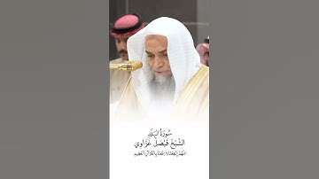 سورة البلد | الشيخ #فيصل_غزاوي