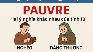 Ngữ pháp tiếng Pháp - Hai ý nghĩa khác nhau của tính từ PAUVRE ( nghèo/ đáng thương)