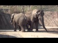 盛岡市動物公園 の動画、YouTube動画。