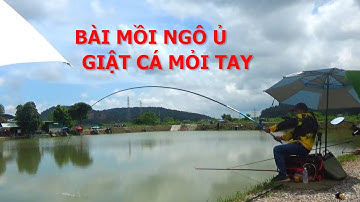 Câu cá bằng mồi ngô ủ giật cá mỏi tay l CẦN THỦ ĐẤT CẢNG