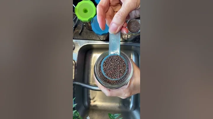 How I Sprout Broccoli Seeds:  Day 1