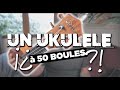 Un ukull  50 boules a vaut quoi  donner duc100 concert ukulele review