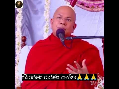 තිසරණ සරණ තියාගෙනත් අසරණ වෙන්නේ ඇයි? 🙏