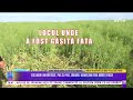 EXCLUSIV! AM REFĂCUT, PAS CU PAS, DRUMUL MAMEI DIN ZIUA MORŢII FIICEI!