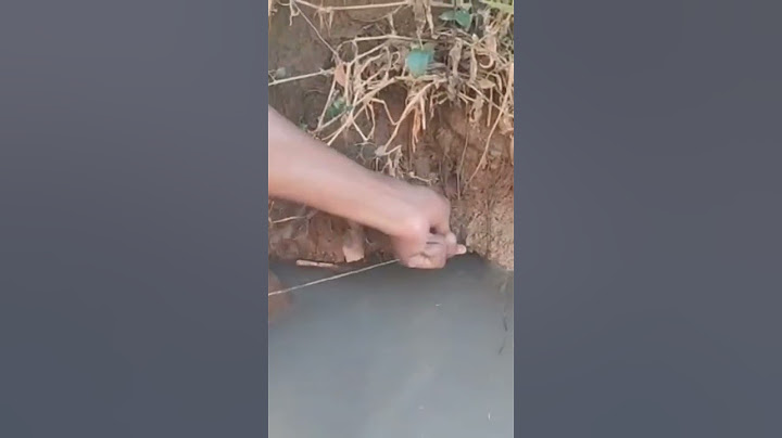 #fish#fishing#Asian swamp eel Fish- ।Big Eel catching from deep hole