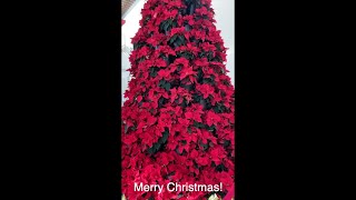Merry Christmas 2023 #christmas #merrychristmas #christmastree #christmasdecor #holidays by bestkitchenreviews 403 views 4 months ago 52 seconds