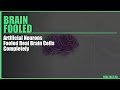 Artificial Neurons Fooled Real Brain Cells Completely #Shorts