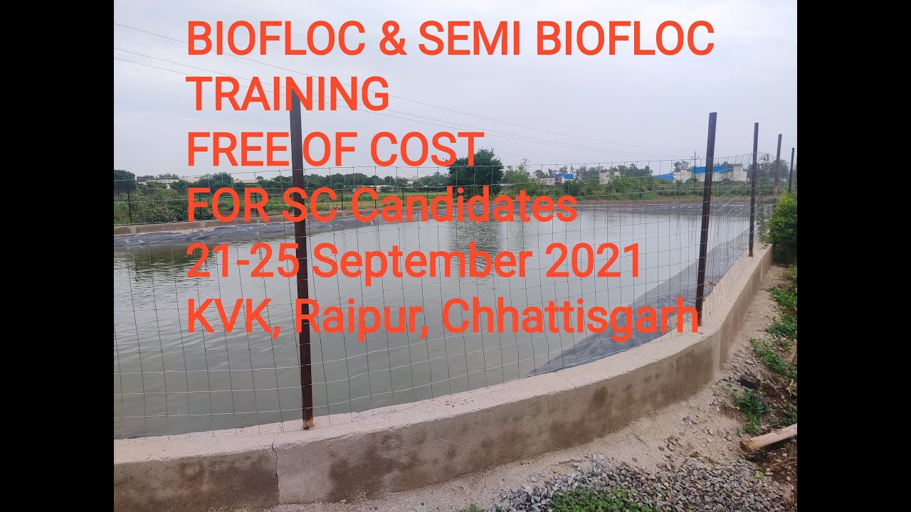 FREE BIOFLOC & SEMI BIOFLOC TRAINING DATE ANNOUNCED - YouTube
