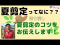 「夏剪定ってなに？」夏剪定について村上敏が解説。