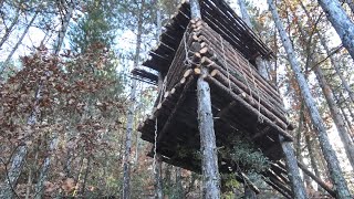 Tree shelter bulding on  the  mountain in the forest with overlooking to Olympus( long version )