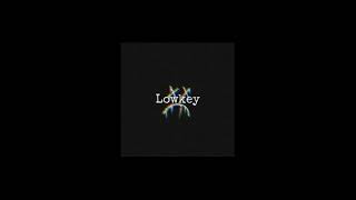 [ FREE ] ASAP Rocky x Future Type Beat "Lowkey" (prod. by Kidu)