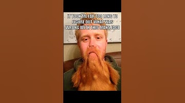 #memes #memesdaily #funny #funnyshorts #comedy #shorts #trending #trendingshorts