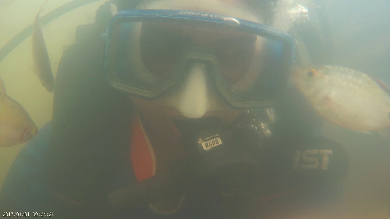 Scuba Diving YouTube