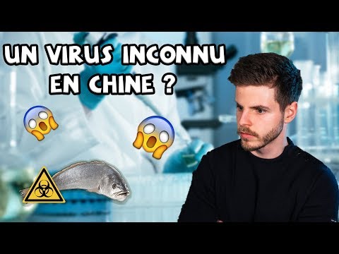 UN VIRUS INCONNU EN CHINE ? - Minute Santé UN VIRUS INCONNU EN CHINE ? - Minute Santé