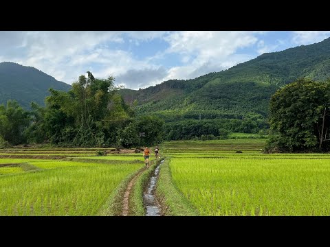 Hnub No Mus Saib Nplog Ua Laij