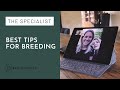 What is important when picking your stallion? | Begijnhoeve | The Specialist #1