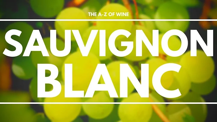 What is SAUVIGNON BLANC - Everything you need to know about this delicious grape. - DayDayNews