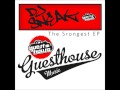 DJ Sneak Defanition Movement Guesthouse Music mp3